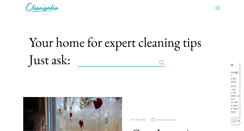 Desktop Screenshot of cleanipedia.com